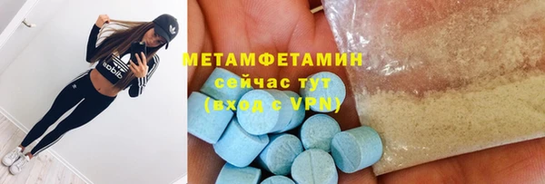 прущие грибы Приозерск
